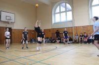 IMG10095