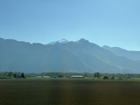 IMG_8974