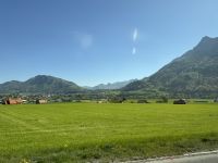 IMG_8991