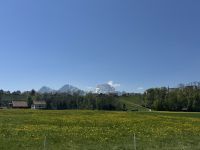 IMG_9011