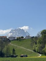 IMG_9015