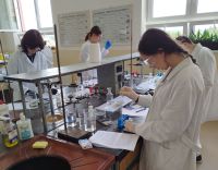 IMG_20260514_123050