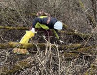 20260327_074416315_iOS