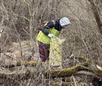 20260327_074401985_iOS